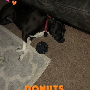 Meet your Posher, Ali